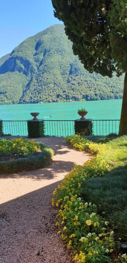 Lugano Lake, nido del cigno Oria  Exterior foto
